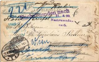 1899 (Vorläufer) Budapest VI. Andrássy út. Divald Károly 2. sz. (Rb)