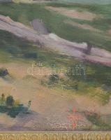 Olvashatatlan jelzéssel: Faluvége. Olaj, karton. Dekoratív, régi fakeretben, 40×49 cm