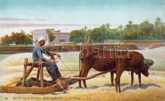 Ägyptisch Ackerbauer