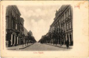 Braila, Calea Regala / street view (EK)