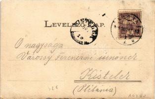 1901 Kassa, Kosice; Csermelyvölgyi kioszk / kiosk, restaurant (EK)