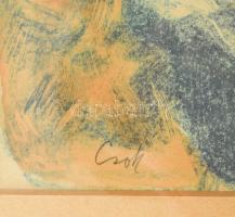 Csók István (1865-1961): Züzü olvas. Litográfia, papír, jelzett (Csók I). Üvegezett fakeretben, 30×2...