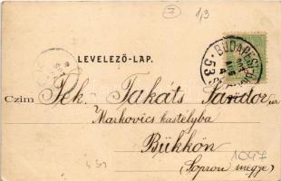 1903 Törökbálint, látkép. Divald Károly 185. sz. (EK)