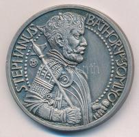 Tóth Sándor (1933-) 1987. "MÉE Hajdú-Bihar Megyei szervezete / Somlyói Báthory István" ezü...