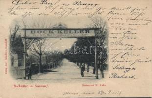 1899 Nussdorf Bock Keller brewery