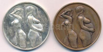 Lapis András (1942-) 1986. "Magyar Nőorvos Társaság - Sátoraljaújhely / Északkelet-magyarország...