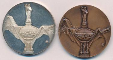 Szabó Géza (1939-) 1992. "A Soproni Vízmű 100 éves / Mária-Kút" Ag és bronz emlékérem pár ...