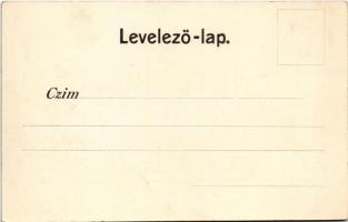 Kolozsvár, Cluj; Fő tér, Csiky Mihály, Csillag Manó, Bányai Sámuel fia és Hubay Károly üzlete. Gibbo...