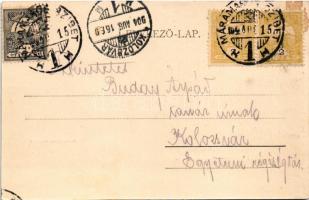 1904 Máramarossziget, Sighet, Sighetu Marmatiei; Sugár úti villa, Római katolikus templom. Kaufmann ...