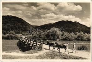 1942 Vereckei-hágó, Veretsky Pass (Bereg); vár, tehénhajtás / castle