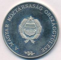 ~1989. "A Magyar Köztársaság Országgyűlése / Parlament- Budapest" fém emlékérem (40mm) T:A...