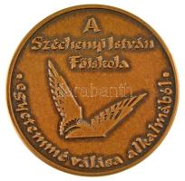 Lebó Ferenc (1960-) "Széchenyi István Egyetem" bronz emlékérem dísztokban (42,5mm) T:UNC