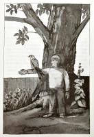 Fekete István-Nagy Domokos Imre: Magasles. Első kiadás! 1993, Officina. Kiadói kartonált kötés, jó á...