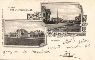 Nagyszeben Haller-field