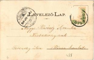 1904 Dobsina, Dobschau; látkép, Kossuth sétatér. Kökler Arthur kiadása / general view, promenade, sq...