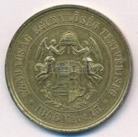 Arad 1874. "Az aradi vértanúk kivégzésének 25. évfordulójára" aranyozott bronz emlékérem. ...