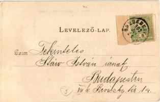 1902 Budapest XX. Pestszenterzsébet, Pesterzsébet, Erzsébetfalva; Böhm Villa