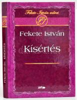 Fekete István: Kísértés. Első kiadás! Szeged, 2006, Lazi. Kiadói kartonált kötés, elejében tulajdonosi bejegyzéssel, jó állapotban.