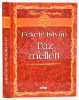 Fekete István: Tűz mellett. Első kiadás! Szeged, 2006, Lazi. Kiadói kartonált kötés, elejében tulajdonosi bejegyzéssel, jó állapotban.