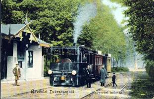 Debrecen Nagyerdei indóház