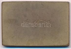 Exner Károly (1850-1919) 1915. "Az érdem jeléül" bronz plakett "SGA" gyártói jel...