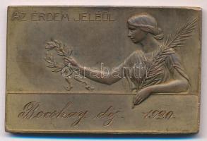 Exner Károly (1850-1919) 1920. "Az érdem jeléül" bronz plakett "SGA" gyártói jelzéssel, illetve "Bocskay díj" gravírozással (55x36mm) T:XF