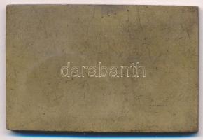 Exner Károly (1850-1919) 1920. "Az érdem jeléül" bronz plakett "SGA" gyártói jel...