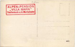 Teufenbach an d. Murtalbahn, Alpen-Pension Villa Maria. photo