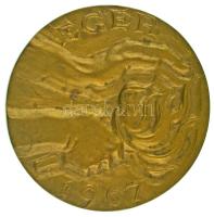 1967. "Eger 1967 / A Gárdonyi Géza Diáknapok alkalmával elért művészi teljesítményért" bronz emlékérem (74mm) T:AU