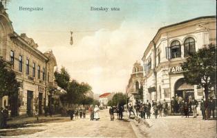Beregszász with bookshop and the shop of István Simon