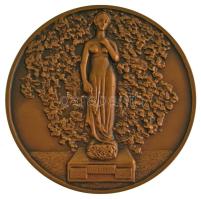 Olaszország DN "Júlia háza - Verona" bronz emlékérem dísztokban, tanúsítvánnyal (44mm) T:UNC Italy ND "The Balkony and the House of Juliet Capulets" bronze commemorative medallion in case, with certificate (44mm) C:UNC