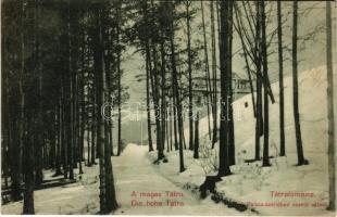 1914 Tátralomnic, Tatranská Lomnica (Tátra, Magas-Tátra, Vysoké Tatry); A Palota szállóhoz vezető sétaút télen / road to the hotel in winter (EK)