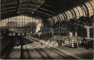 Hamburg, Hauptbahnhof, Innenansicht / railway station, interior, train, locomotive