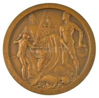 1912. "Budapest Székesfővárosi Közlekedési Részvénytársaság Sportegyesülete a Sport Terén Elért...