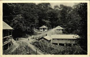 Zányka-fürdő, Zanka Kúpele (Volóc, Volovets); fürdő / spa, bath