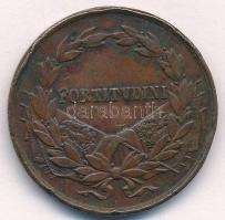 1917. "Károly Bronz Vitézségi Érem" bronz kitüntetés fül és mellszalag nélkül. Szign.: Kau...