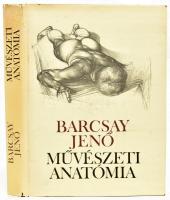 Barcsay Jenő: Művészeti anatómia. Budapest, 1980, Corvina. Nyolcadik kiadás. Kiadói egészvászon kötésben, kiadói papír védőborítóval, papír védőborítón apró szakadásokkal, máskülönben jó állapotban.