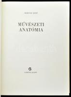 Barcsay Jenő: Művészeti anatómia. Budapest, 1980, Corvina. Nyolcadik kiadás. Kiadói egészvászon köté...