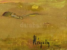 Négely jelzéssel:Táj. Olaj, vászon. Felületi sérüléssel. 51,5x72 cm