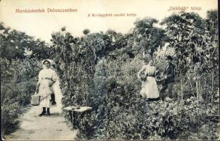 Debrecen a  Kerékgyártó család kertje a Délibáb telepen