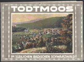 cca 1910 Todtmoos im Südlichen Badischen Schwarzwald német nyelvű utazási prospektus