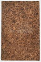 [Csapó Dániel] Gazdasági kistűkör. Falusi ifjúság számára Karika Pál, Szentmiklósy Sámuel és Tahy Em...