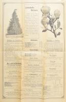 1904 Képes Vezető a Gyümölcs- és Díszkertben 55. évfolyam 67. szám, Niemetz W.F. Temesvár