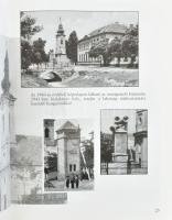 Feketéné Ziegler Ágota, Csovics Balázs, Fogarasy Attila (szerk.): Pilisszentiván Anno... Régi képesl...