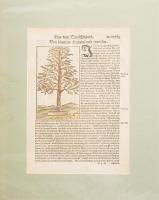 Sebastian Münster: von dem Teutschenland - Németorzság leírása fával illusztrálva. Színezett fametszet megj.: Cosmographia, 1568. Lapméret 21x28 cm paszpartuban / Woodplate image and descripntion of Germany