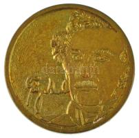 ~1990. "OTP Bank" aranyozott, hátoldalán Széchenyi portrét ábrázoló bronz emlékérem, műany...