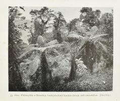 Cholnoky Jenő: Kőrösi Csoma Sándor. Bp., [1940], Athenaeum, 287 p. + 24 t. Egészoldalas fekete-fehér...