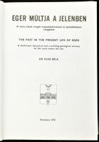 Kleb Béla: Eger múltja a jelenben. A város alatti üregek településtörténeti és építésföldrajzi vizsg...