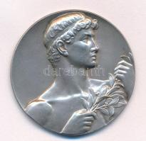 1909. "A.A.C. II. 1909" kétoldalas, peremén jelzett Ag díjérem (21,23g/0.950/39,5mm) T:AU