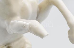 ENS porcelán lovak szobor. Kézzel festett, jelzett, sérült, törött láb, 37x24 cm